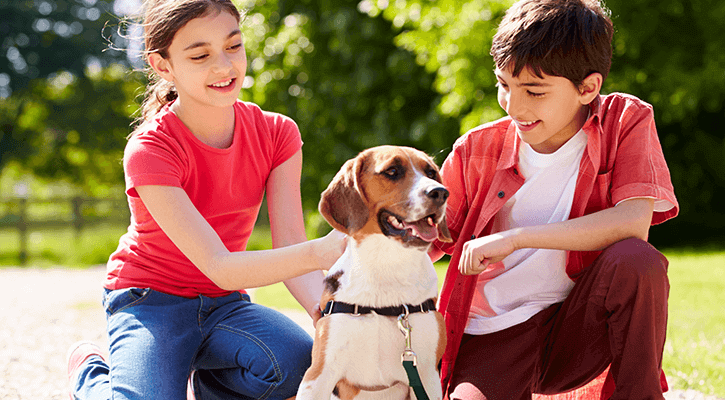 Pet Microchipping Douglassville Dog With Kids